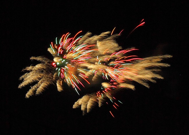 firework-1.jpg