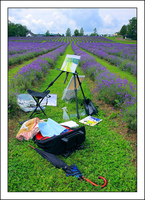 lavender garden-3.jpg
