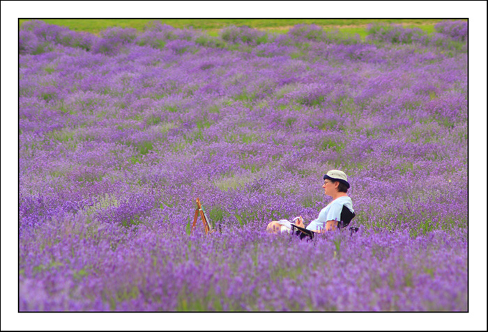 lavender-garden-7.jpg