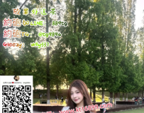 ������s-�����߶���s���f �OƷ���� �����Ͽ��� ه889tg